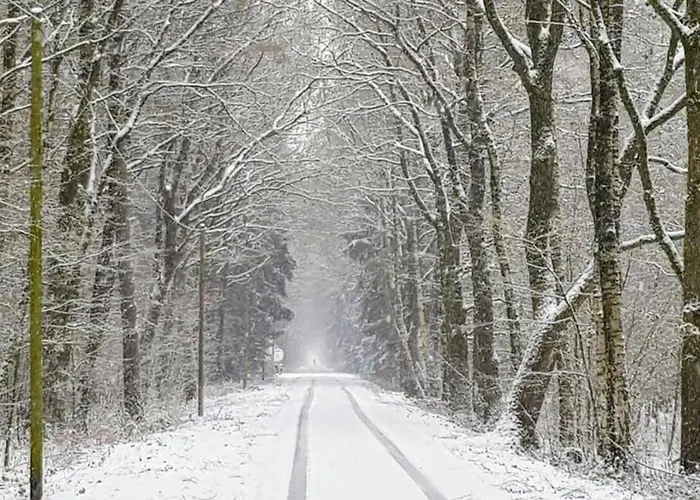 Thele Og Lejlighed Werlte